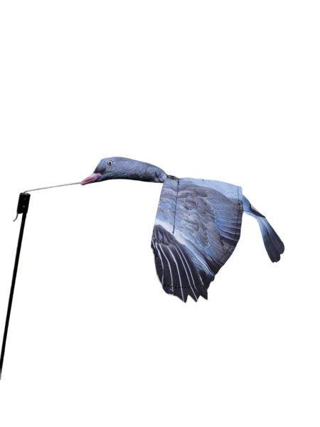 Чучело голубя вяхиря летящего - флюгер, махокрыл